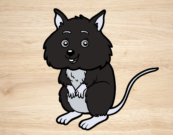 Coloring page A little hamster painted byfawnamama1