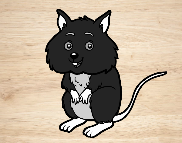 Coloring page A little hamster painted byfawnamama1