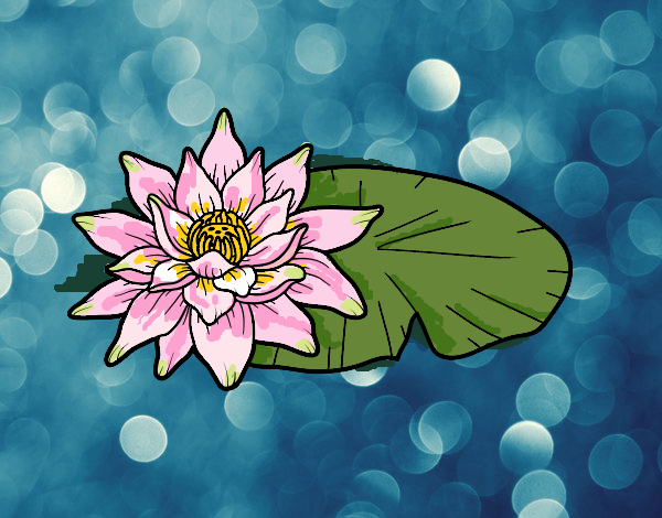 Coloring page A lotus flower painted byFranka