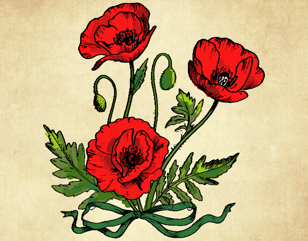 Coloring page Some poppies painted byFranka