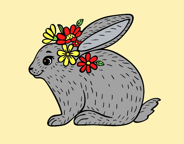 Spring rabbit