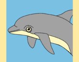 Coloring page Dolphin painted byAnia