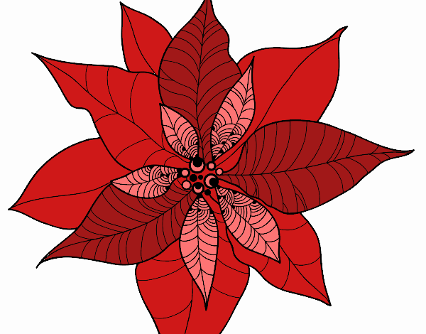Coloring page Poinsettia flower painted byKhaos006