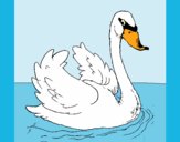 Coloring page Swan in water painted byAnia