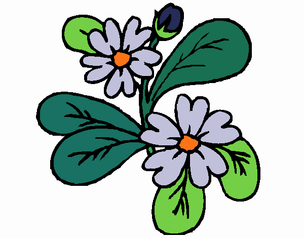 Coloring page Flowers 4a painted byKhaos006