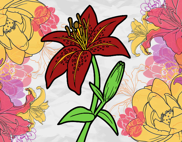 Coloring page Madonna lily painted byalexadra