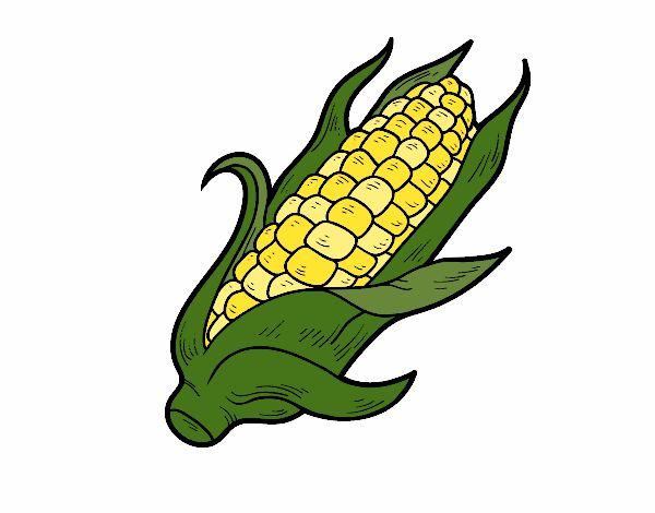 A corncob