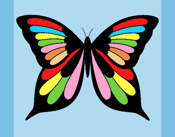 Coloring page Butterfly 19 painted byAnia