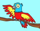 Coloring page Parrot in freedom painted byAnia