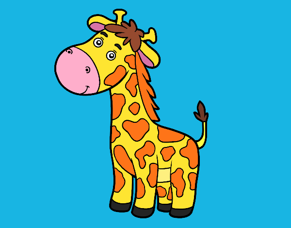 A giraffe