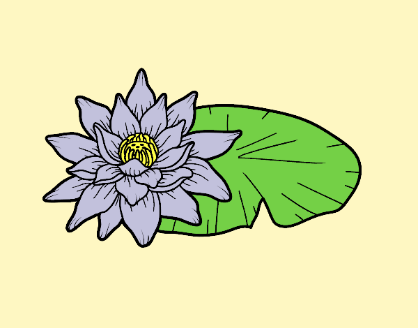 Coloring page A lotus flower painted byAnia