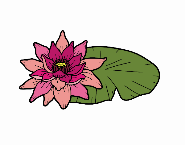 Coloring page A lotus flower painted byTegan 