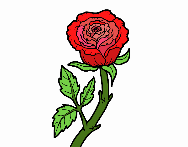 Coloring page Wild rose painted byTegan 