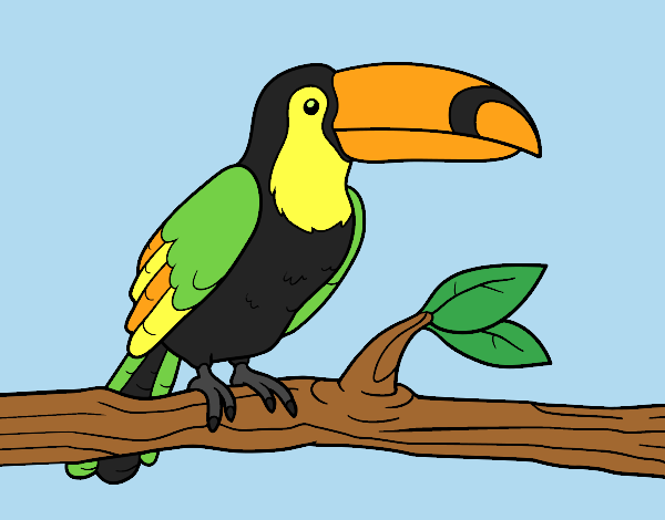 Coloring page A toucan painted bylorna