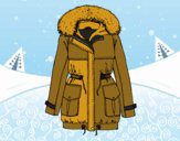 Winter coat