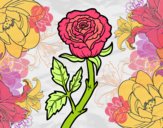Coloring page Wild rose painted byPatricia 