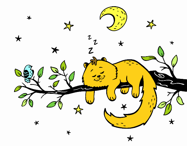 Coloring page The cat and the moon painted byPegfy