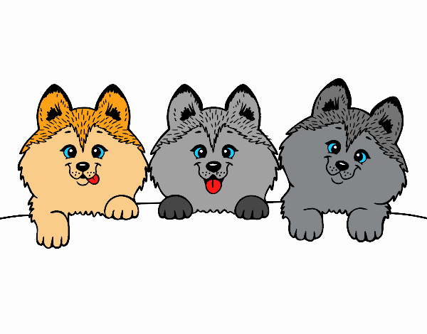 Coloring page 3 puppies painted byMarmar2552