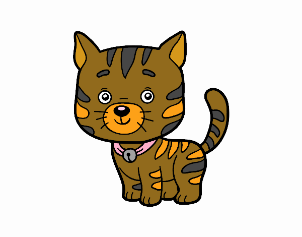 Coloring page A domestic cat painted bymelissa79