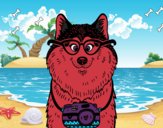 Coloring page Dog photographer painted byBella0