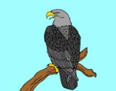 Coloring page Eagle on branch painted bylorna