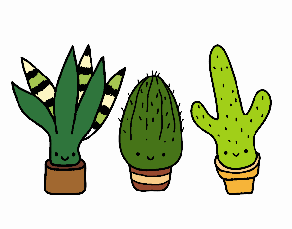 Coloring page Mini cactus painted bymaddy