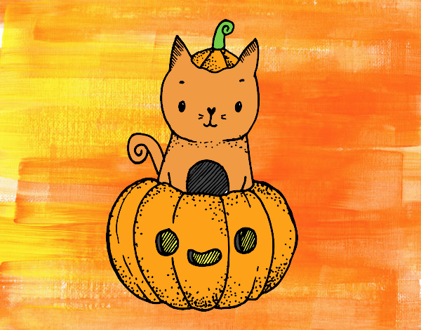 A Halloween kitten