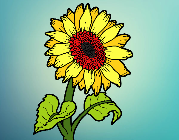 Coloring page A sunflower painted byPiaaa