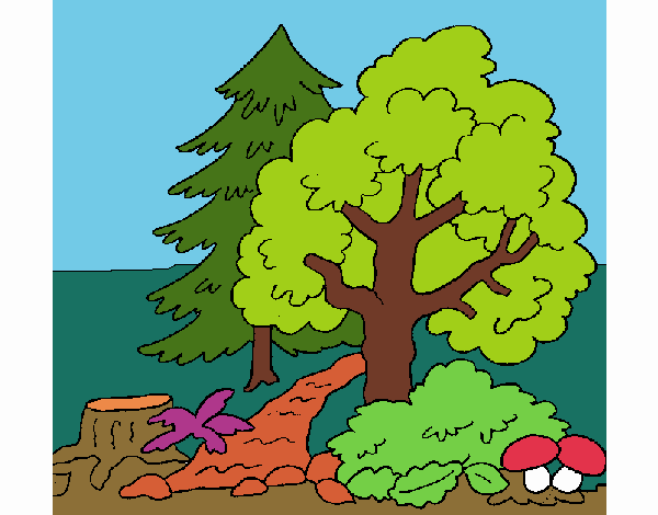 Coloring page Forest painted byPiaaa