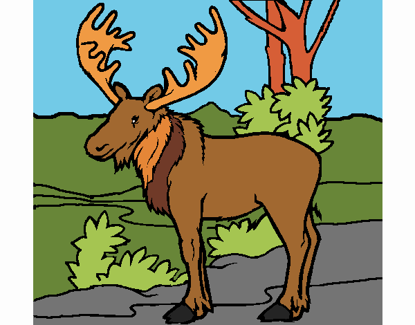 Coloring page Moose painted byPiaaa
