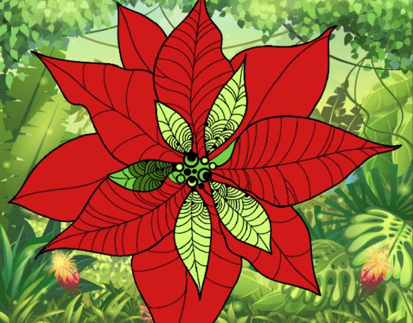 Coloring page Poinsettia flower painted byNita
