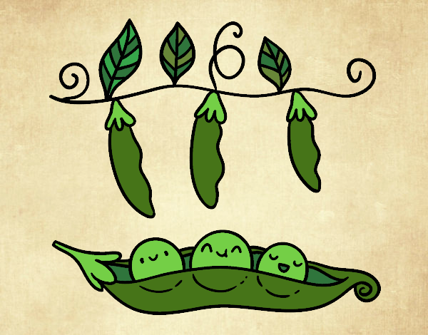 Coloring page Some peas painted byPrincess13