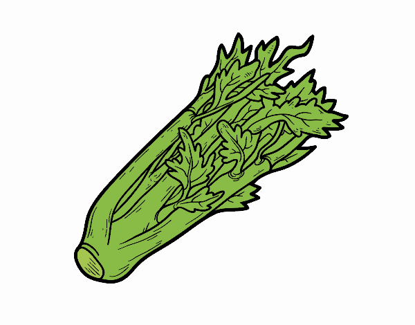 A celery