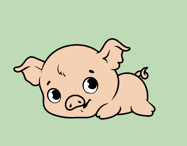 Coloring page Baby piggy painted bybbbb