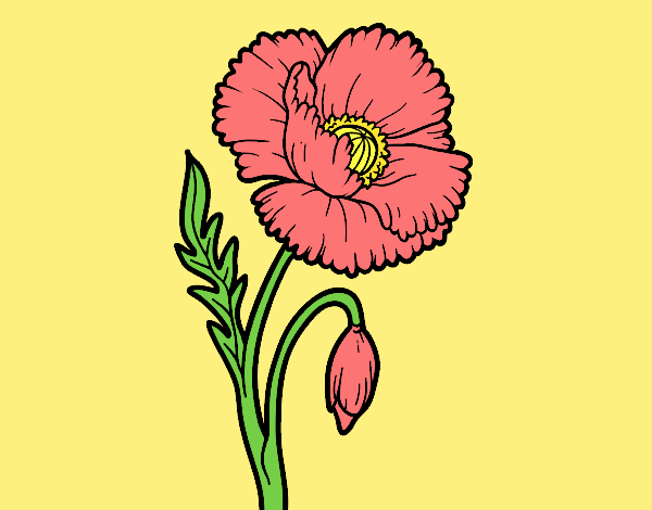 Coloring page Wild Poppy painted bylorna