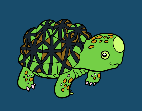 Coloring page Indian star tortoise painted byDaisy66