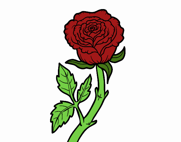 Coloring page Wild rose painted byDaisy66