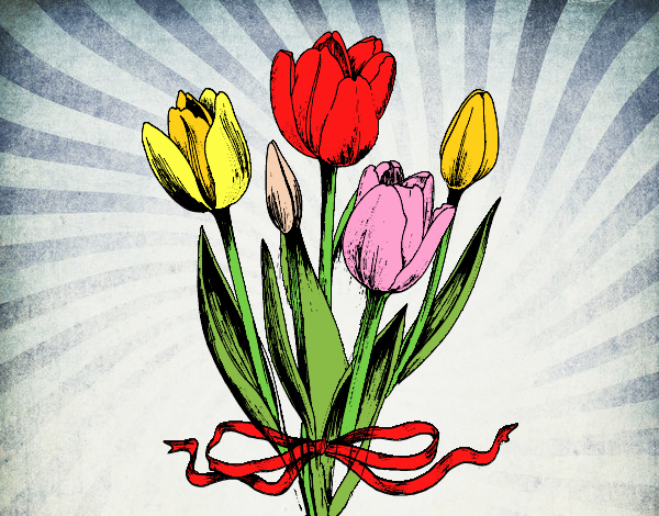 Tulips with a bow
