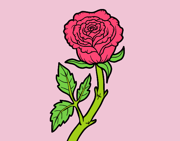Coloring page Wild rose painted byLornaAnia