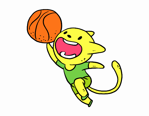 Basket cat