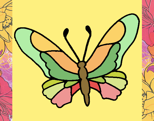 Butterfly 6a