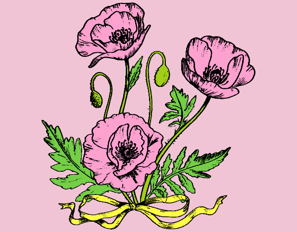 Coloring page Some poppies painted byLornaAnia