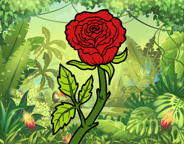 Coloring page Wild rose painted byJakeMaster
