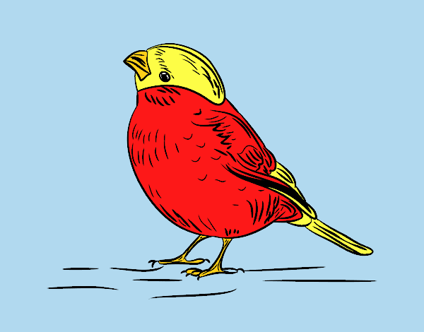 Coloring page Serin painted byLornaAnia