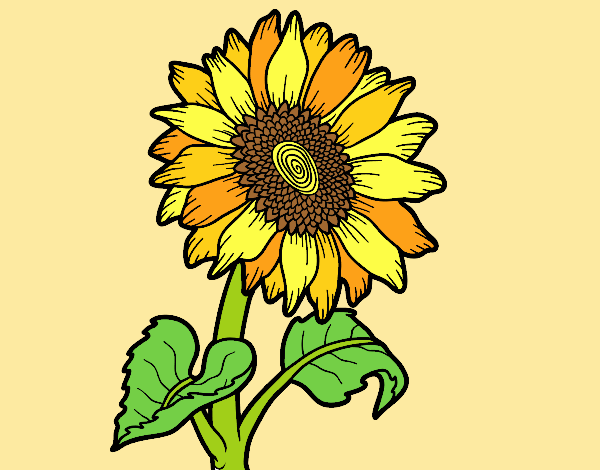 Coloring page A sunflower painted byLornaAnia