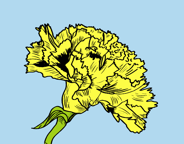 Coloring page Carnation flower painted byLornaAnia