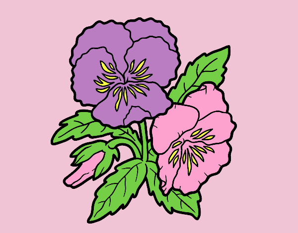 Coloring page Heartsease flowers painted byLornaAnia
