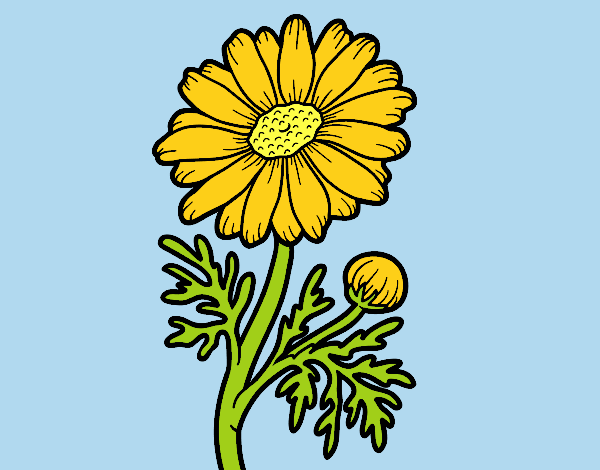 Coloring page Wild daisy painted byLornaAnia