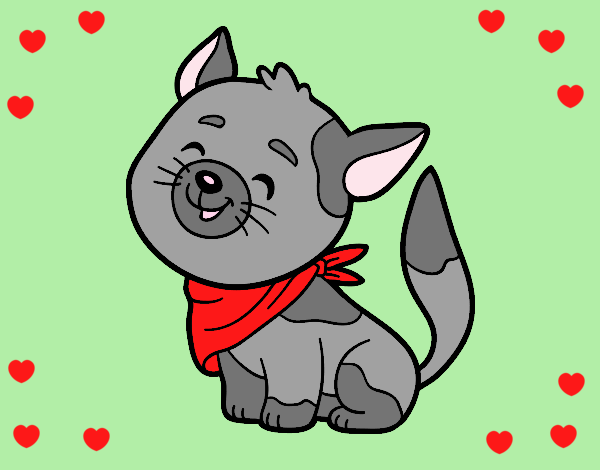 Cat with kerchief