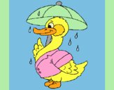 Coloring page Duck in the rain painted byLornaAnia